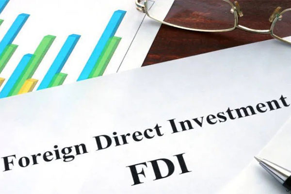 外國(guó)直接投資（FDI）